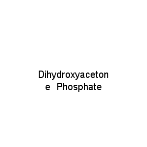 Dihydroxyacetone  Phosphate